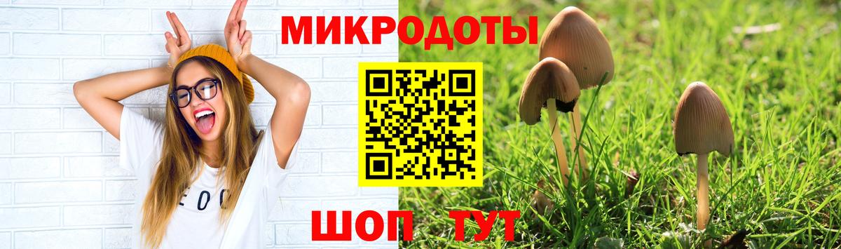 Галлюциногенные грибы мицелий  Вход с VPN  Новомосковск  Галлюциногенные грибы Psilocybe 
